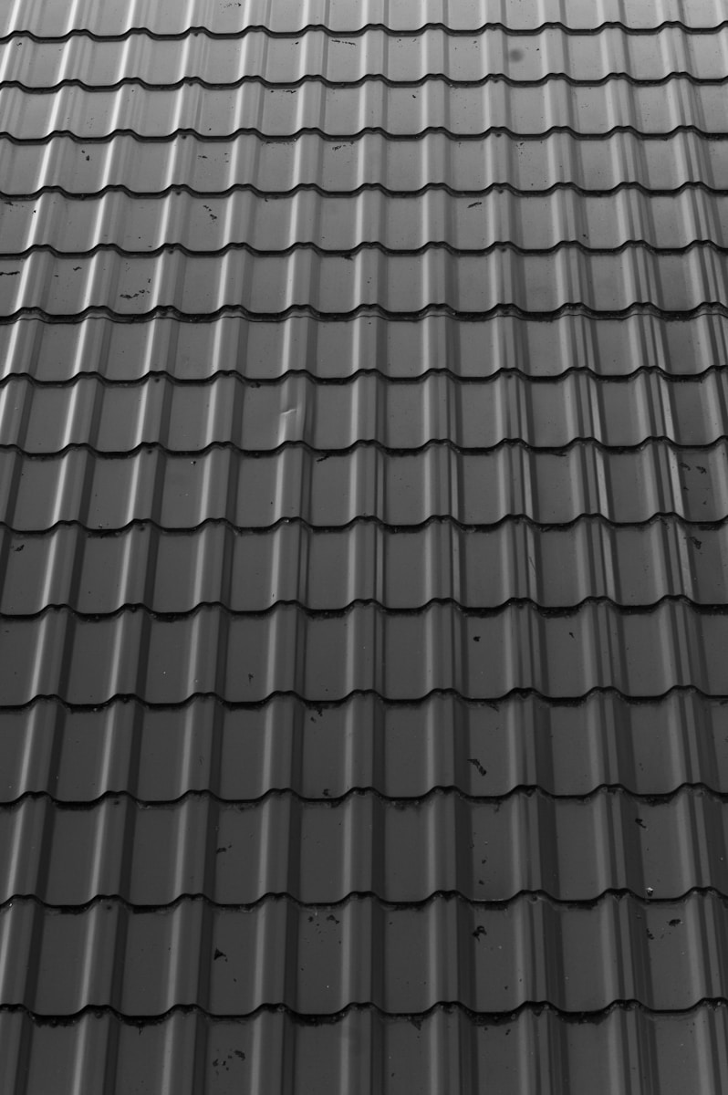 a black and white photo of a roof