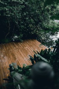 green trees