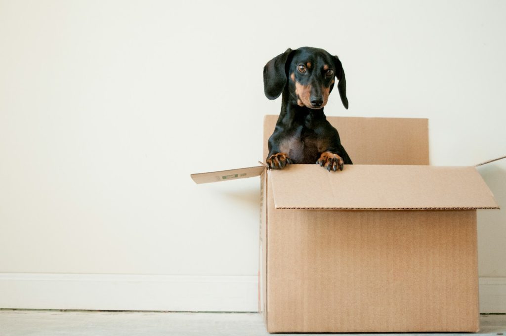 Moving in New York City: How to Find Trustworthy Movers